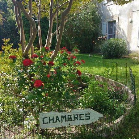 Le Mas D'Icard Saintes-Maries-de-la-Mer Buitenkant foto