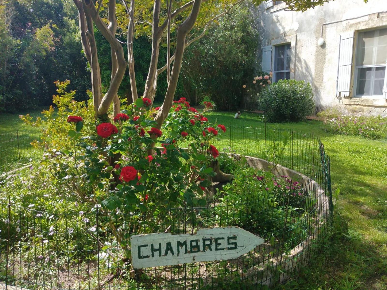 Le Mas D'Icard Saintes-Maries-de-la-Mer Buitenkant foto